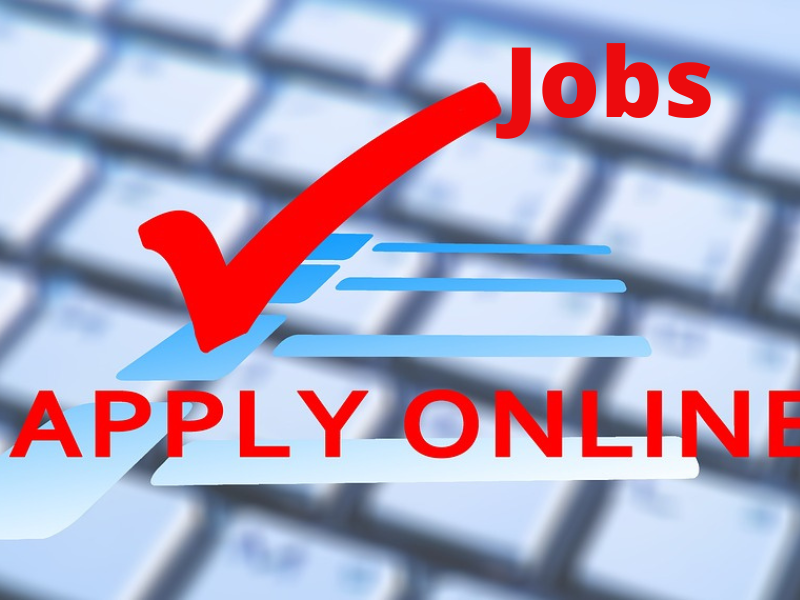 Online Jobs from Home & Different Types of Working from Home Jobs